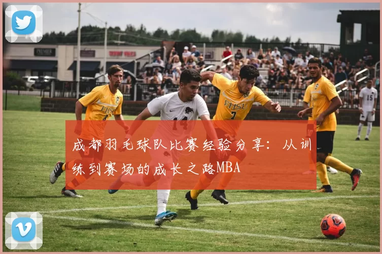 成都羽毛球队比赛经验分享：从训练到赛场的成长之路MBA