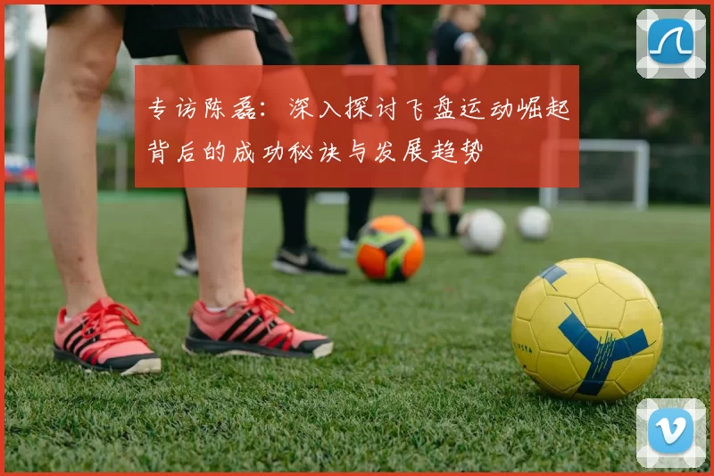 专访陈磊：深入探讨飞盘运动崛起背后的成功秘诀与发展趋势