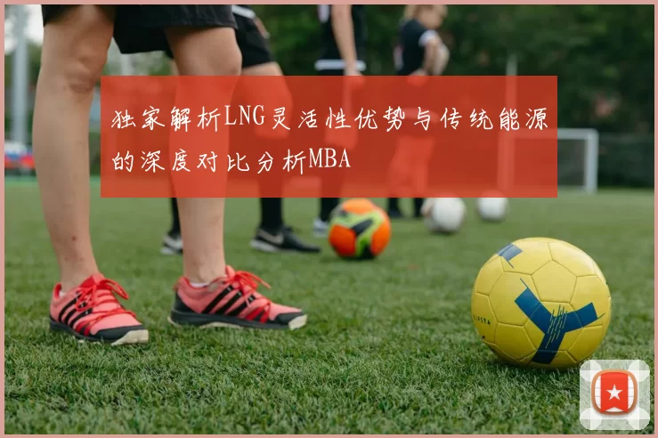 独家解析LNG灵活性优势与传统能源的深度对比分析MBA