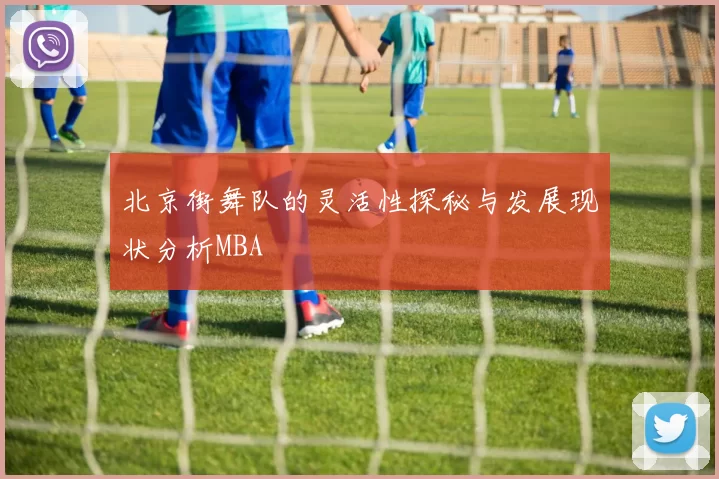 北京街舞队的灵活性探秘与发展现状分析MBA