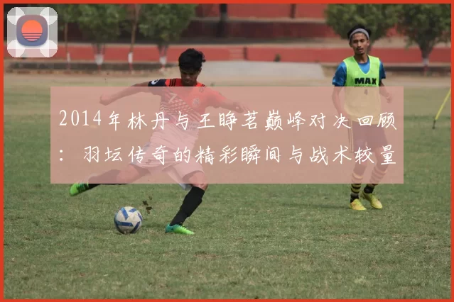 2014年林丹与王睁茗巅峰对决回顾：羽坛传奇的精彩瞬间与战术较量